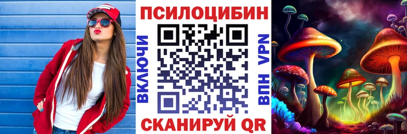 блэк спрут зеркало Сураж Псилоцибиновые грибы ЛСД